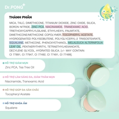 Phấn nền kiềm dầu dành cho da mụn DR.PONG Acne Ace 002 Blurring Powder 9g