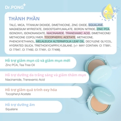 Phấn phủ kiềm dầu dành cho da mụn DR.PONG Acne Ace 001 Blurring Powder 9g
