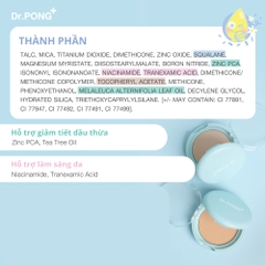 Phấn phủ hỗ trợ kiềm dầu dành cho da mụn DR.PONG Acne Ace 001 Blurring Powder 9g
