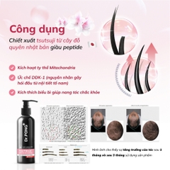 Dầu gội giảm rụng tóc, hỗ trợ mọc tóc Dr.PONG Tsutsuji Gentle 200ml