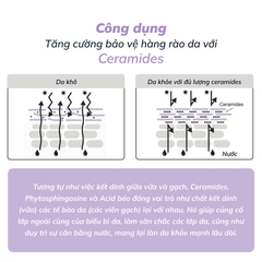 Sữa rửa mặt cân bằng da Dr.PONG Gentle Balancing Facial Gel 100ml