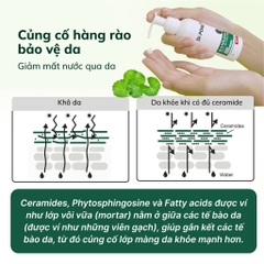 Kem dưỡng thể Dr.PONG BarrierX body butter cream 100g