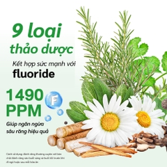 Kem đánh răng từ thảo dược & fluoride trắng răng, thơm miệng Dr.PONG 9X HERBAL PLUS FLUORIDE TOOTHPASTE 100g