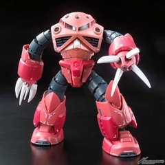 RG 1/144 Z'GOK CHAR'S CUSTOM