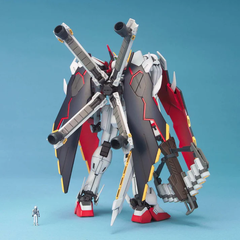 MG 1/100 CROSSBONE FULL CLOTH