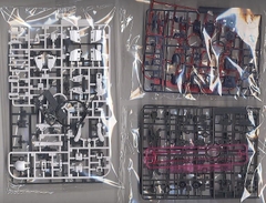 MG 1/100 CROSSBONE GUNDAM X-1 ver.Ka