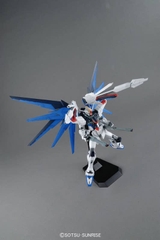 MG 1/100 FREEDOM GUNDAM Ver. 2.0