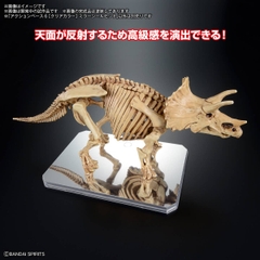 PHỤ KIỆN ACTION BASE 6 (Clear Color) Mirror Sticker Set