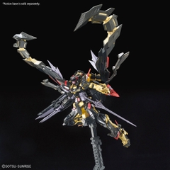 RG 1/144 GUNDAM ASTRAY GOLD FRAME AMATSU MINA