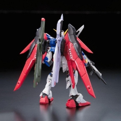 RG 1/144 DESTINY GUNDAM
