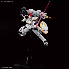 RG 1/144 TALLGEESE EW