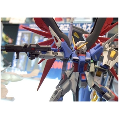 MG 1/100 DESTINY GUNDAM