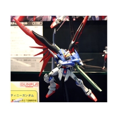 MG 1/100 DESTINY GUNDAM
