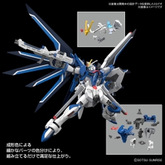 HGCE 1/144 RISING FREEDOM GUNDAM