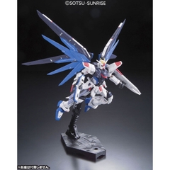 RG 1/144 FREEDOM GUNDAM