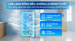 Tủ lạnh Samsung Inverter 236 lít RT22M4032BU/SV