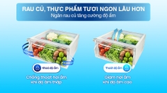 Tủ lạnh Samsung Inverter 208 lít RT20HAR8DBU/SV