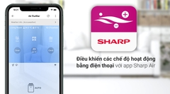 Máy lọc không khí Sharp FP-J80EV-H 48W