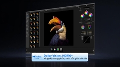 Google Tivi QD-MiniLED Xiaomi S Pro 4K 75 inch L75MB-SSEA 2026