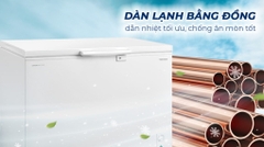 Tủ đông Toshiba Inverter 293 lít GR-RC390CM-PMV(01)