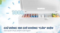 Tủ đông Toshiba Inverter 293 lít GR-RC390CM-PMV(01)