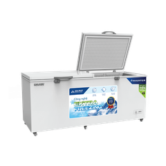Tủ Đông Hoà Phát 544l HPF AD8544.1