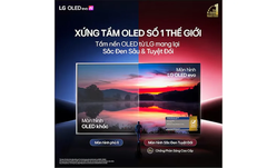 TV OLED evo LG AI 4K C6 55 inch OLED55C6PSA