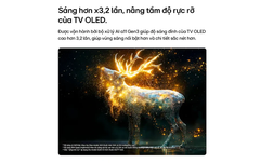 TV OLED evo LG AI 4K C6 55 inch OLED55C6PSA