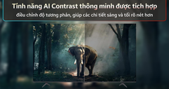 Google Tivi QLED TCL 4K 55 inch 55P7L