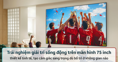Smart Tivi QNED LG AI 4K 75 inch 75QNED86BSA
