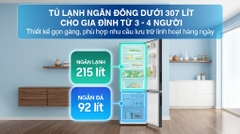 Tủ lạnh Samsung Inverter 307 lít RB30N4190B1/SV
