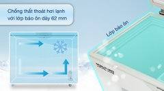 Tủ đông Hòa Phát 252 lít HPF AN6252