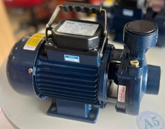 Máy bơm nước HTP DK20 750W