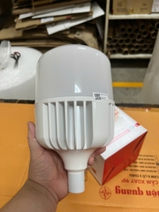 Đèn LED TRỤ CSL Điện Quang ĐQ LEDBU16 80765 (80W daylight, thân nhôm đúc, EMC, chụp cầu mờ)