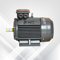 Động cơ điện TECO