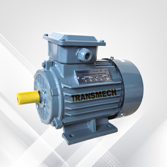 Động cơ điện Transmech Chân đế