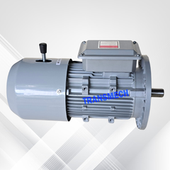 Động cơ Transmech gắn phanh