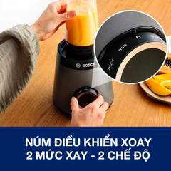 Máy Xay Sinh Tố Bosch - MMB6177S