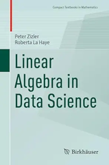 Linear Algebra in Data Science – Sách ITBook đại số tuyến tính dữ liệu | Sách công nghệ Toán học AI & Machine Learning (2024) – Peter Zizler