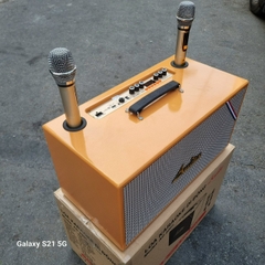 Loa kéo karaoke AD2201 (2 bass 20cm) kèm 2 micro chính hãng [BH 1 năm]
