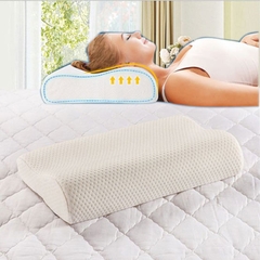 Gối cao su non người lớn cao cấp Zara Home
