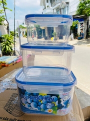 Combo 3 hộp nhựa VN-6530 cao cấp xịn đựng thực phẩm kín nắp để tủ lạnh 3 kích cỡ [BH: NONE]