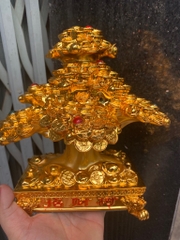 Cây Kim tiền phong thủy tài lộc, may mắn trung bàn thần tài, bàn làm việc, decor [BH: NONE]