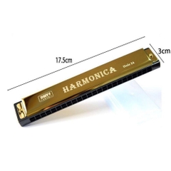 Thanh lý COMBO 2 cây duy nhất kèn harmonica 24 lỗ [do lưu kho nên vít hơi gỉ sét, khách mua về chùi lại sd bình thường] [BH: NONE] / pktn sale