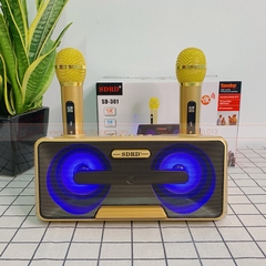 Loa bluetooth karaoke SDRD SD-301 kèm 2 micro không dây siêu hay [BH 6 tháng]