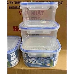Combo 3 hộp nhựa VN-6530 cao cấp xịn đựng thực phẩm kín nắp để tủ lạnh 3 kích cỡ [BH: NONE]