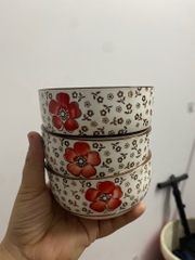 Combo 3 chén/ bát ăn cơm hoạ tiết hình hoa xinh xắn (tray ko box) / pktn sale