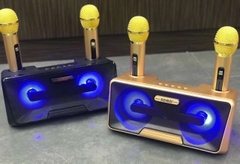 Loa bluetooth karaoke SDRD SD-301 kèm 2 micro không dây siêu hay [BH 6 tháng]