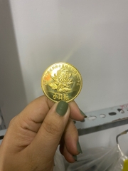 Hàng Lưu Niệm Đồng Xu Trâu Vàng kèm Túi Đựng / pktn sale