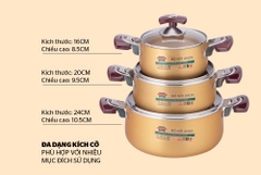 Bộ 3 Nồi SH6634 màu vàng cao cấp kèm nắp kính size 16 20 24 [BH: NONE]
